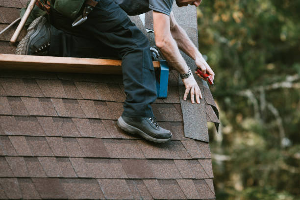 Best Roof Gutter Cleaning  in Wormleysburg, PA